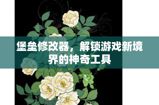 堡垒修改器，解锁游戏新境界的神奇工具