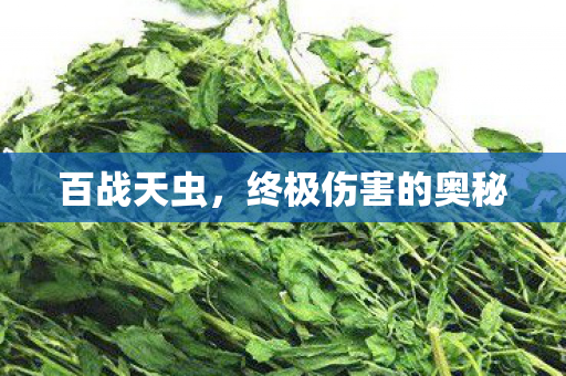 百战天虫，终极伤害的奥秘