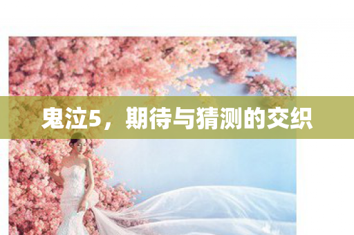 鬼泣5，期待与猜测的交织