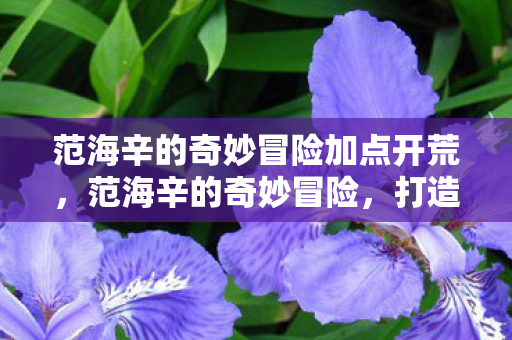 范海辛的奇妙冒险加点开荒，范海辛的奇妙冒险，打造专属角色，精准加点策略