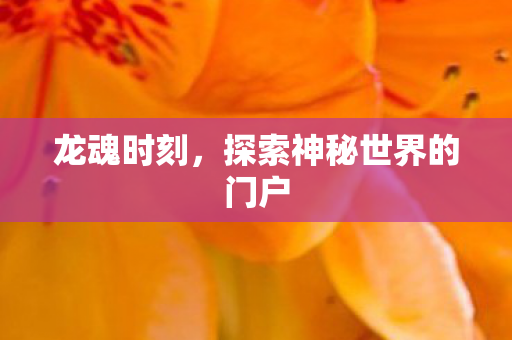 龙魂时刻，探索神秘世界的门户