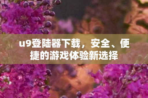 u9登陆器下载，安全、便捷的游戏体验新选择