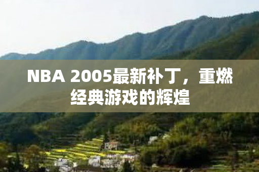 NBA 2005最新补丁，重燃经典游戏的辉煌