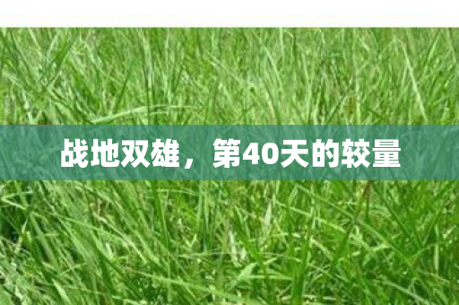 战地双雄，第40天的较量