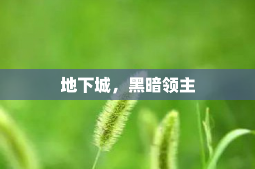 地下城，黑暗领主