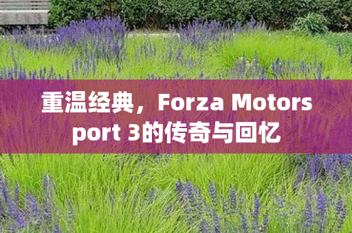 重温经典，Forza Motorsport 3的传奇与回忆