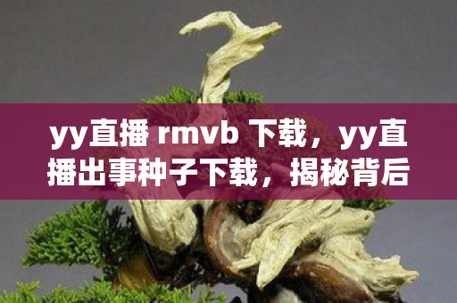 yy直播 rmvb 下载,yy直播出事种子下载,揭秘背后的灰色产业链与风险 yy直播 rmvb 下载,yy直播出事种子下载,揭秘背后的灰色产业链与风险
