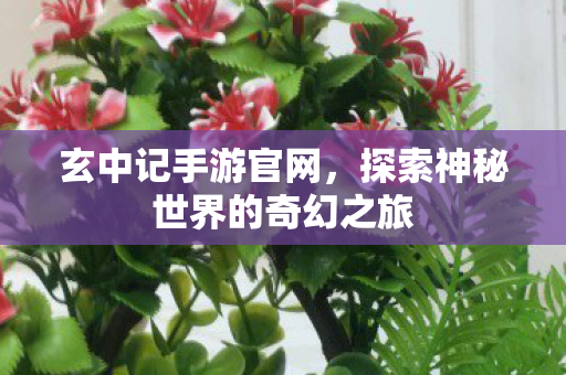 玄中记手游官网,探索神秘世界的奇幻之旅 玄中记手游官网,探索神秘世界的奇幻之旅