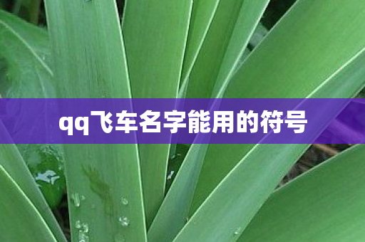 qq飞车名字能用的符号