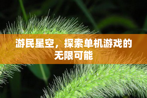 游民星空，探索单机游戏的无限可能