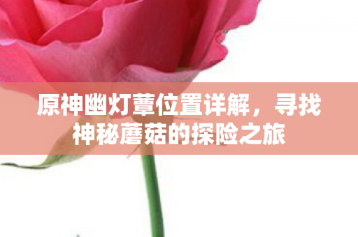 原神幽灯蕈位置详解，寻找神秘蘑菇的探险之旅