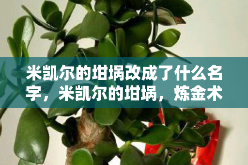 米凯尔的坩埚改成了什么名字，米凯尔的坩埚，炼金术士的奇幻之旅