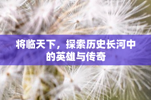 将临天下，探索历史长河中的英雄与传奇