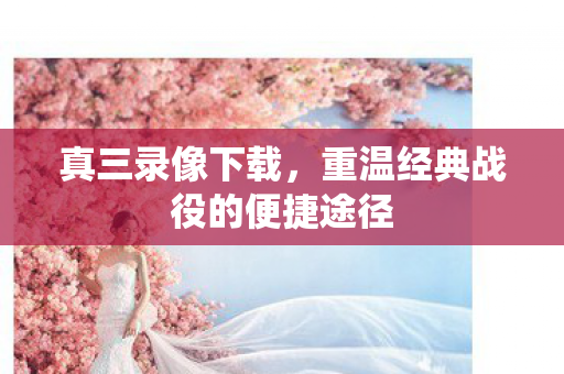 真三录像下载，重温经典战役的便捷途径