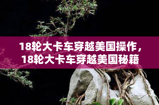 18轮大卡车穿越美国操作，18轮大卡车穿越美国秘籍