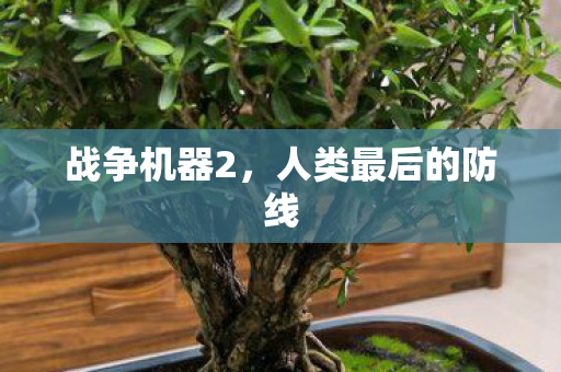 战争机器2，人类最后的防线