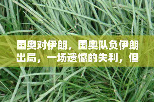 国奥对伊朗，国奥队负伊朗出局，一场遗憾的失利，但未来可期