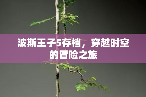 波斯王子5存档,穿越时空的冒险之旅 波斯王子5存档,穿越时空的冒险之旅