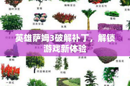 英雄萨姆3破解补丁，解锁游戏新体验