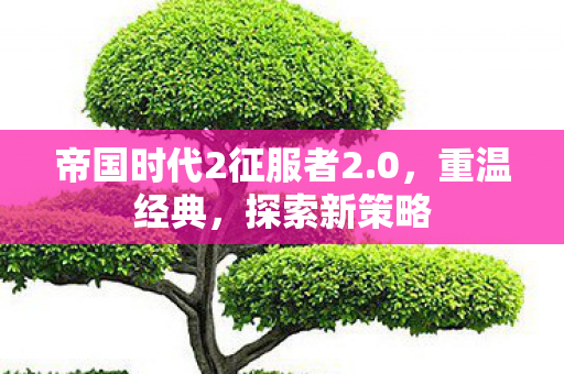 帝国时代2征服者2.0，重温经典，探索新策略