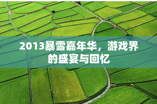 2013暴雪嘉年华，游戏界的盛宴与回忆
