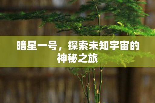 暗星一号，探索未知宇宙的神秘之旅