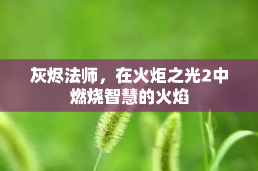 灰烬法师，在火炬之光2中燃烧智慧的火焰