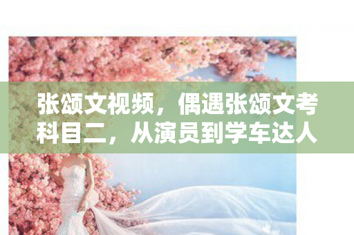 张颂文视频，偶遇张颂文考科目二，从演员到学车达人的温馨瞬间