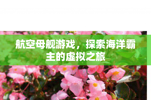 航空母舰游戏，探索海洋霸主的虚拟之旅