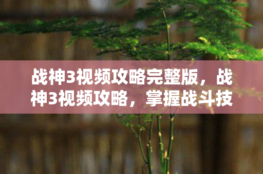 战神3视频攻略完整版，战神3视频攻略，掌握战斗技巧，征服古老战场
