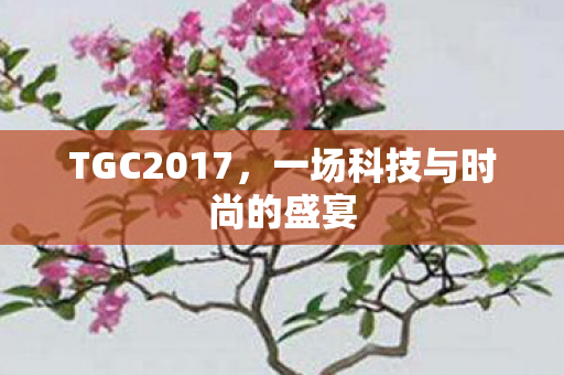 TGC2017，一场科技与时尚的盛宴