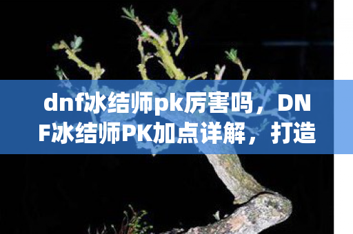 DNF冰结师PK加点详解图片