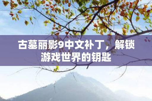 古墓丽影9中文补丁，解锁游戏世界的钥匙