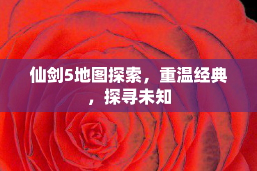 仙剑5地图探索，重温经典，探寻未知
