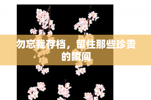 勿忘我存档，留住那些珍贵的瞬间