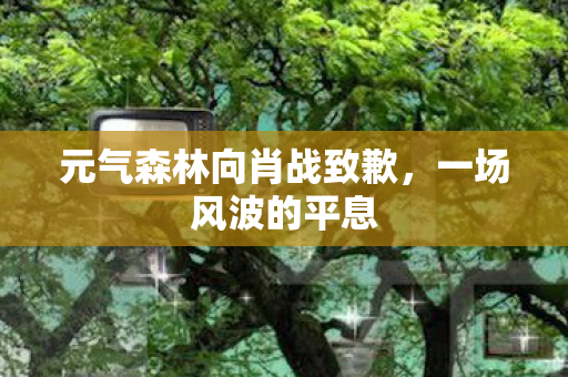 元气森林向肖战致歉，一场风波的平息