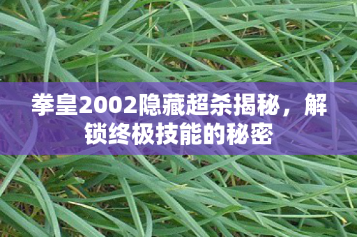 拳皇2002隐藏超杀揭秘，解锁终极技能的秘密