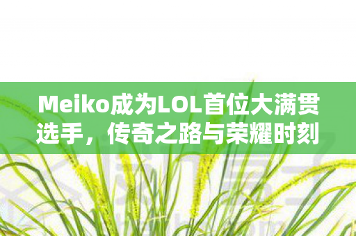 Meiko成为LOL首位大满贯选手，传奇之路与荣耀时刻