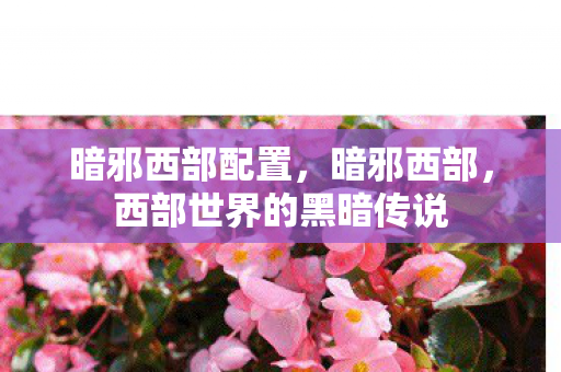 暗邪西部配置，暗邪西部，西部世界的黑暗传说