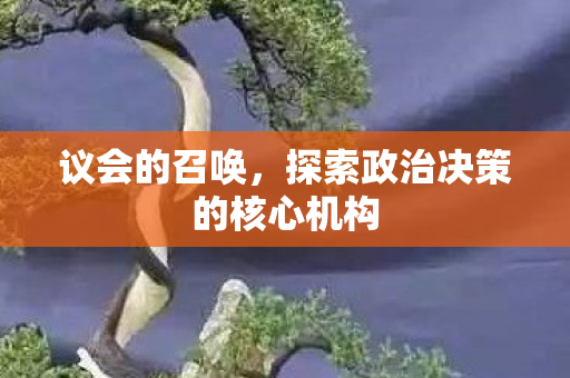 议会的召唤，探索政治决策的核心机构
