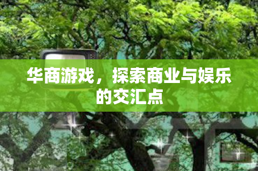 华商游戏，探索商业与娱乐的交汇点