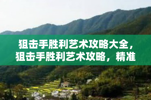 狙击手胜利艺术攻略大全，狙击手胜利艺术攻略，精准射击与策略布局的完美结合