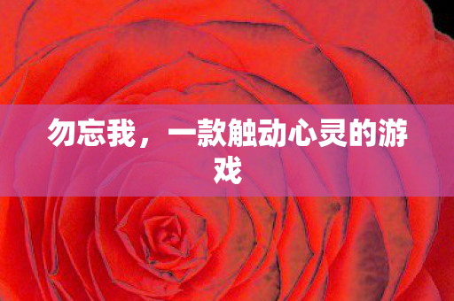 勿忘我,一款触动心灵的游戏 勿忘我,一款触动心灵的游戏