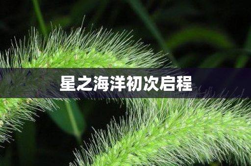 星之海洋初次启程