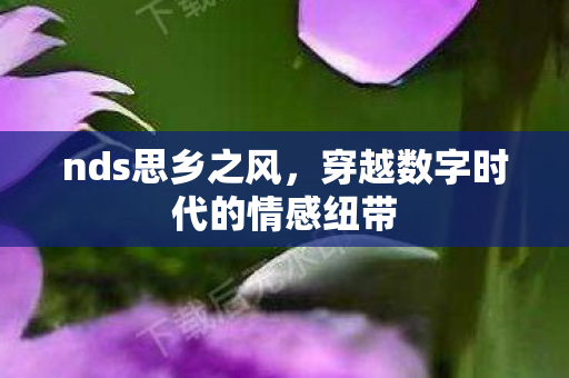 nds思乡之风，穿越数字时代的情感纽带