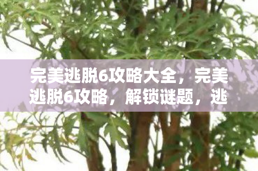 完美逃脱6攻略大全，完美逃脱6攻略，解锁谜题，逃离神秘房间