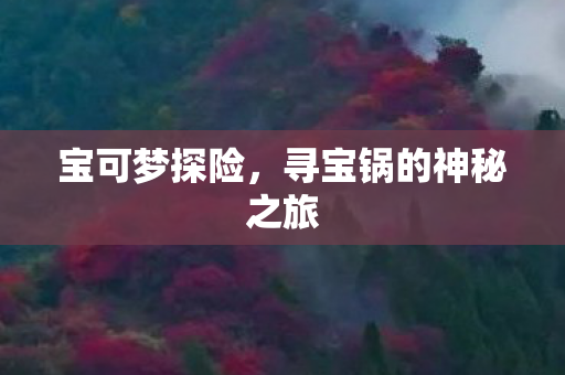 宝可梦探险，寻宝锅的神秘之旅