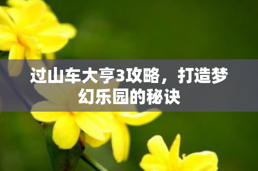 过山车大亨3攻略，打造梦幻乐园的秘诀