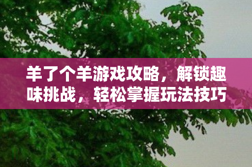 羊了个羊游戏攻略，解锁趣味挑战，轻松掌握玩法技巧