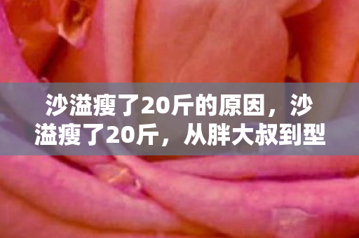 沙溢瘦了20斤的原因,沙溢瘦了20斤,从胖大叔到型男的华丽转身 沙溢瘦了20斤的原因,沙溢瘦了20斤,从胖大叔到型男的华丽转身
